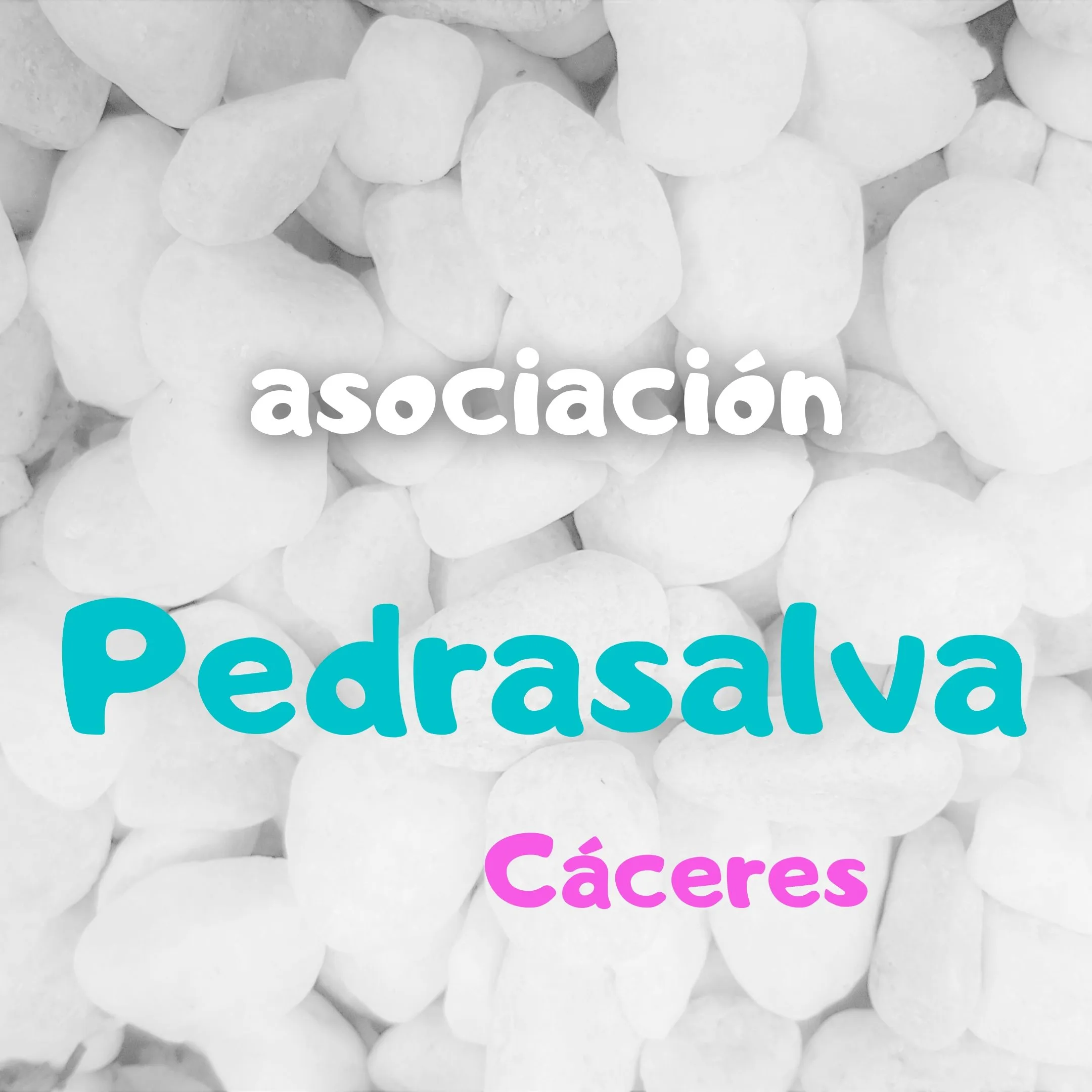 ASOCIACION PEDRASALVA